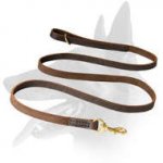 'Snake like' Belgian Malinois Leather Leash