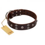 "Skull Valley" Handcrafted FDT Artisan Brown Leather Belgian Malinois Collar with Skulls