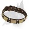 Wide Leather Collar with Nickel Pyramids for Belgian Malinois