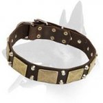 Wide Leather Collar with Nickel Pyramids for Belgian Malinois