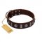 "Spiky Way" FDT Artisan Brown Leather Belgian Malinois Collar with Silver-Like Decorations