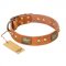 "Saucy Nature" FDT Artisan Tan Leather Belgian Malinois Collar with Old Bronze Look Plates and Skulls