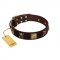 "Crazy Pirate" FDT Artisan Brown Leather Belgian Malinois Collar with Old Bronze-Plated Skulls and Plates