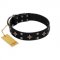 "Snappy Dresser" FDT Artisan Black Leather Belgian Malinois Collar Adorned with Stars and Tiny Squares
