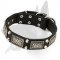 Stunning Leather Collar With Nickel Plates And Cones