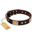 "Middle Age" FDT Artisan Brown Leather Belgian Malinois Collar with Old Bronze-Plated Engraved Flowers and Large Plates
