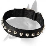 Wide Nylon Collar with nickel pyramids for Belgian Malinois