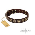 \"Caribbean Treasures\" FDT Artisan Brown Leather Dog Collar with Old-Bronze-like Conchos and Medallions with Skulls_2