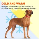 Biothane Martingale Collar_11