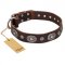 "Extra Pizzazz" FDT Artisan Adorned Brown Leather Belgian Malinois Collar