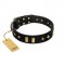 "De Luxe" FDT Artisan Black Leather Belgian Malinois Collar with Old Bronze-like Plates and Studs