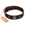 "Cold Star" Designer FDT Artisan Brown Leather Belgian Malinois Collar with Silver-Like Adornments