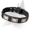 Fabulous Leather Collar With Nickel Plates