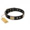 "Antique Gloss" FDT Artisan Black Leather Belgian Malinois Collar with Bronze-like Plates and Small Studs