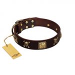 "Crazy Pirate" FDT Artisan Brown Leather Belgian Malinois Collar with Old Bronze-Plated Skulls and Plates