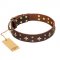 'High Fashion' FDT Artisan Embellished Brown Leather Belgian Malinois Collar