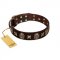 "Captain Hook" FDT Artisan Brown Leather Belgian Malinois Collar with Stars and Skulls