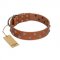 "Waltz of the Flowers" Handmade FDT Artisan Tan Leather Belgian Malinois Collar with Chrome-plated Engraved Studs