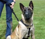 Luxury Handcrafted Leather Harness for Belgian Malinois