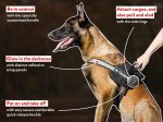 Multifunctional Nylon Dog Harness for Your Belgian Malinois