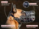 Strong Leather Basket Muzzle for Belgian Malinois