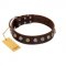 "Gape Buster" FDT Artisan Brown Leather Belgian Malinois Collar with One Row of Studs