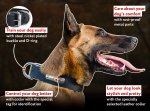 Magnificent Malinois Leather Collar With ID Tag