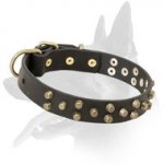 Belgian Malinois Leather Dog Collar with Brass Pyramids - "Galaxy Trip"