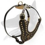 Exclusive Design Studded Leather Harness for Belgian Malinois