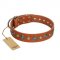 "Natural Beauty" FDT Artisan Tan Leather Belgian Malinois Collar with Shining Silver-like Studs