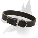 Everyday Leather Collar for Belgian Malinois