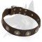 Leather Collar with silver conchos for Belgian Malinois