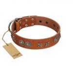 "Splendid Armor" Premium Quality FDT Artisan Tan Designer Belgian Malinois Collar with Shields and Stars
