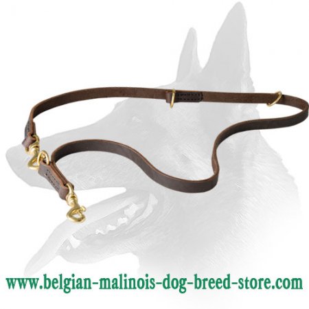 Multi Functional Belgian Malinois Leather Leash Perfect For Training