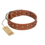 "Enchanted Skulls" FDT Artisan Tan Leather Belgian Malinois Collar with Chrome Plated Skulls
