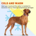 Reflective Biothane Martingale Collar with Quick Release Buckle_2
