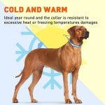 Reflective Biothane Martingale Collar_3