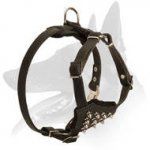 'Full Control' Strong and Stylish Belgian Malinois Puppy Harness