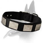 Nylon Collar with Vintage Plates for Belgian Malinois