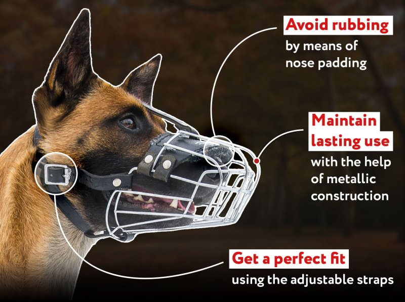 Wire Basket Muzzle for Belgian Malinois