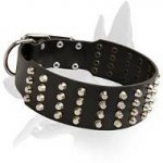 Wide Leather Collar with pyramids for Belgian Malinois