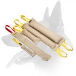 Buy Now Belgian Malinois Training Set and Get Amazing Gift ( value $15.29)