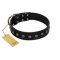 "Flower Rhapsody" FDT Artisan Premium Quaulity Black Leather Belgian Malinois Collar