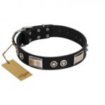 "Grand Wear" FDT Artisan Black Leather Belgian Malinois Collar with Shining Plates and Spiked Studs