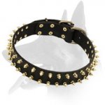 Belgian Malinois "Unveiled Luxury" Leather Dog Collar for Walking