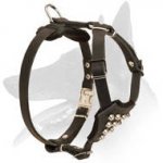 'Noble Puppy' Trendy Designed Belgian Malinois Harness