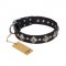 'Silver Charm' FDT Artisan Belgian Malinois Leather Collar with Studs and Plates