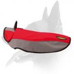 Warm Winter Coat for Belgian Malinois