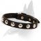 New Striking Leather Collar for Your Belgian Malinois