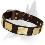 Leather Collar with vintage massive brass plates for Belgian Malinois